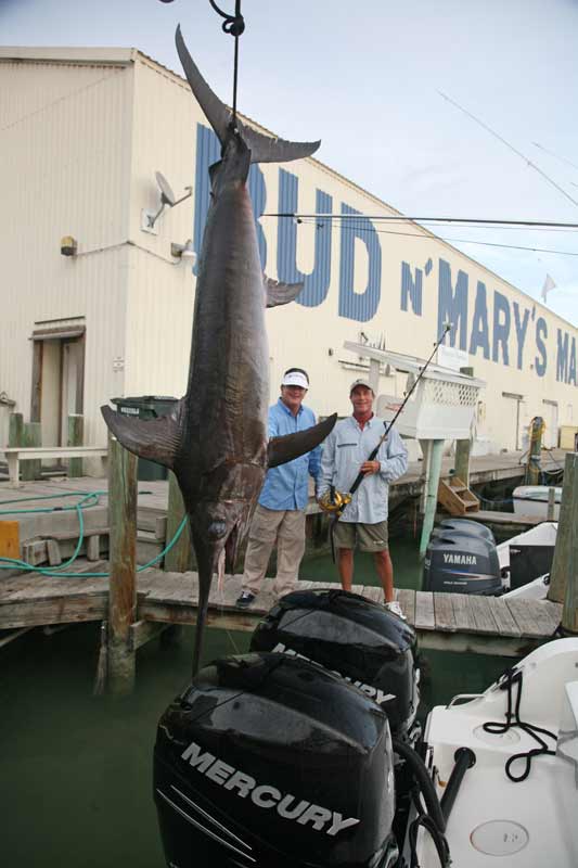 Poveromo, Grassi swordfish Poveromo, Grassi swordfish