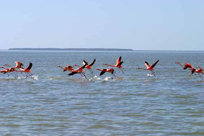jeff pierce inshore_06.jpg