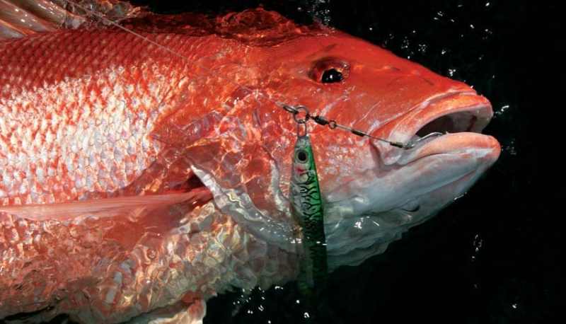 jigging hot spots jigging hot spots