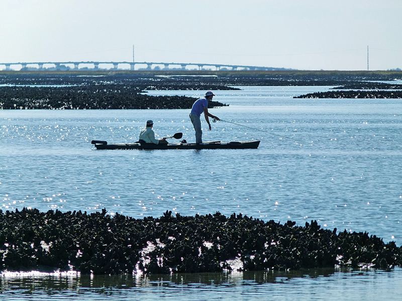 kayak fishing oyster beds