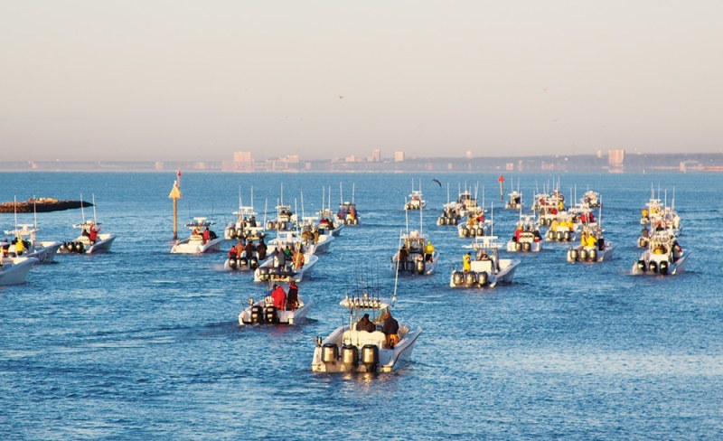 Kingfish tournament fishing boats fleet