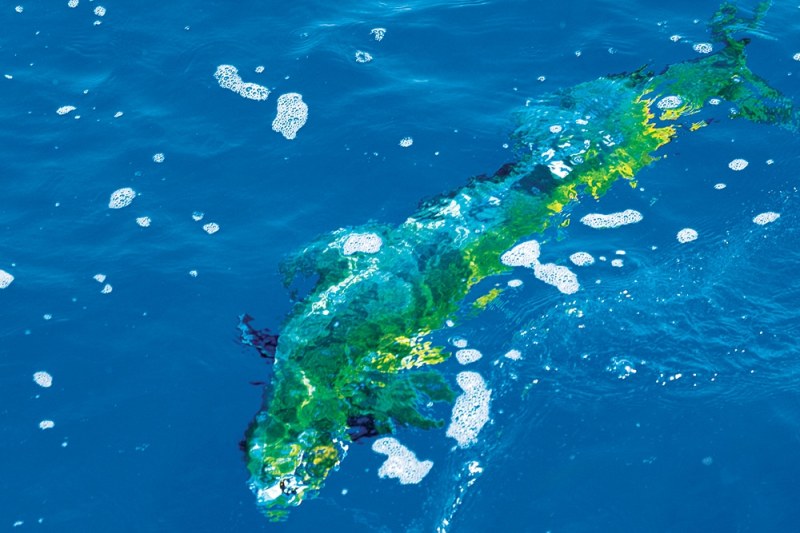 kona-hawaii-fishing-07.jpg