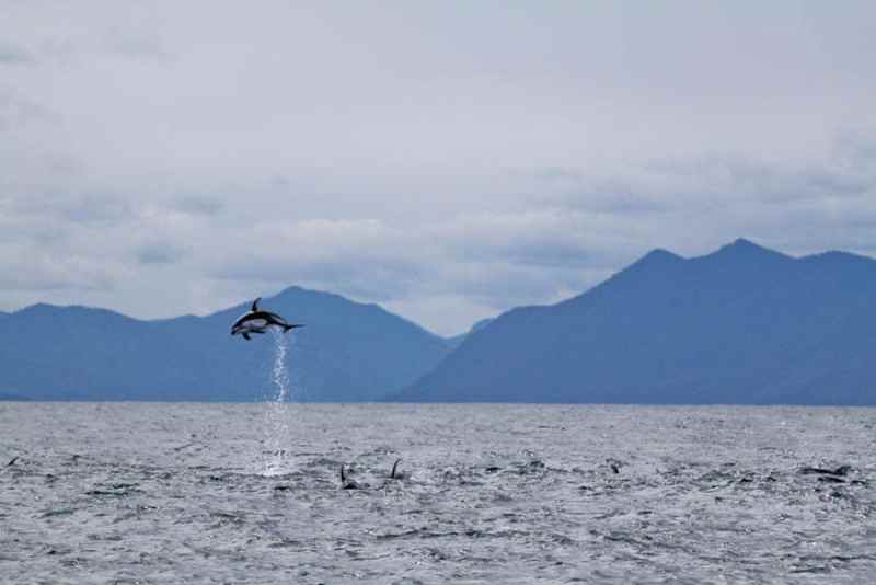 kyler_vos_pacific_fishing_07.jpg