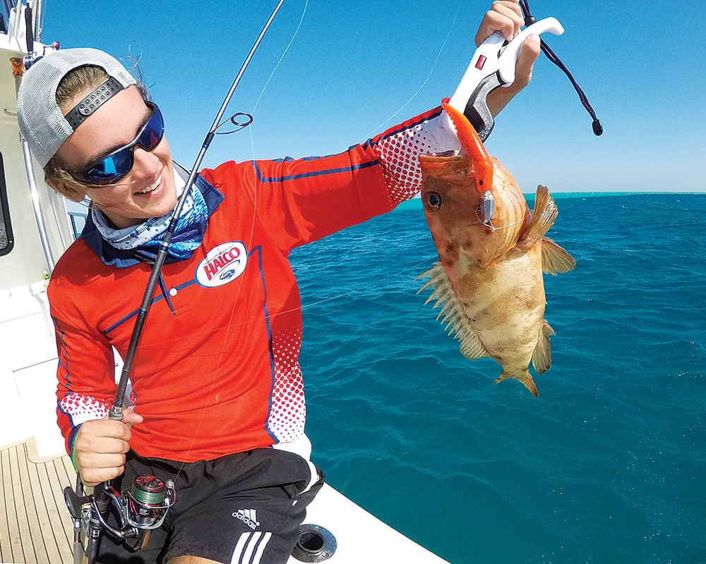 Australian cod