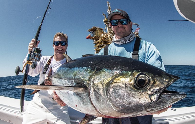 Gulf yellowfin tuna catch