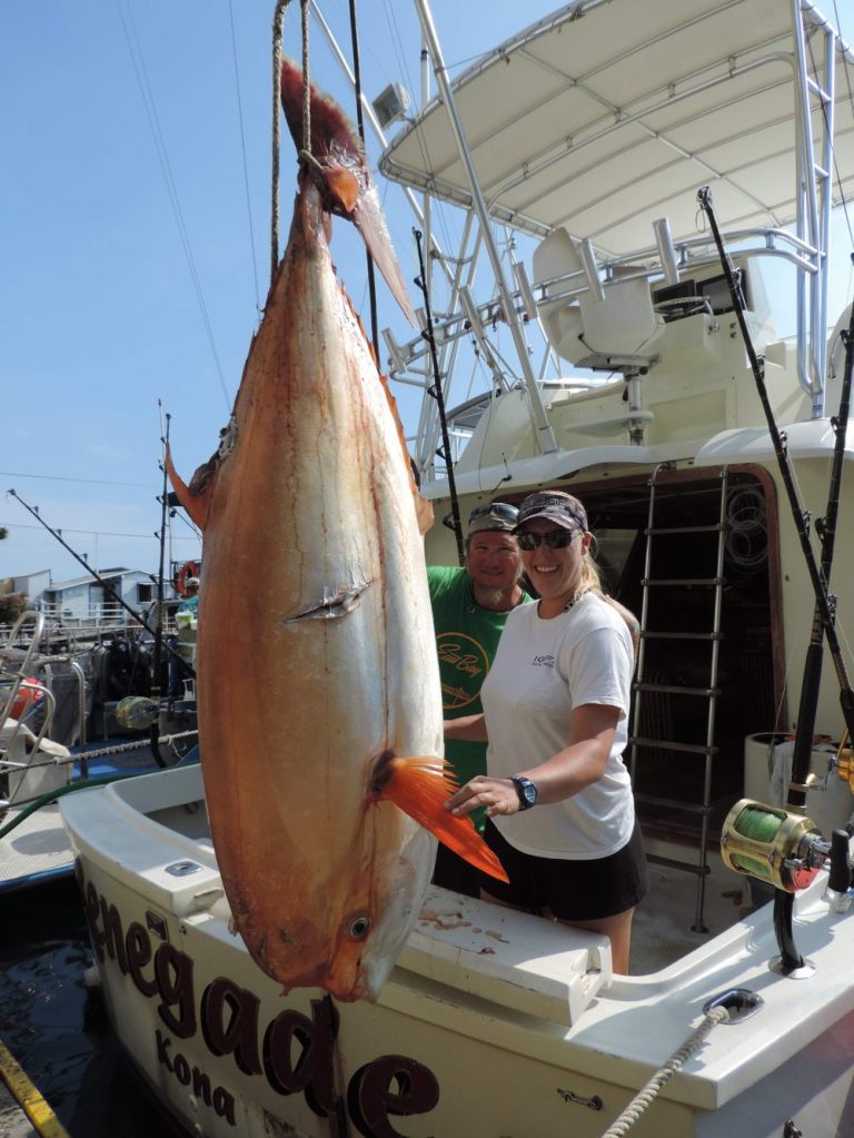 The Louvar — an oceanic oddity from Hawaiian waters louvar225.jpg