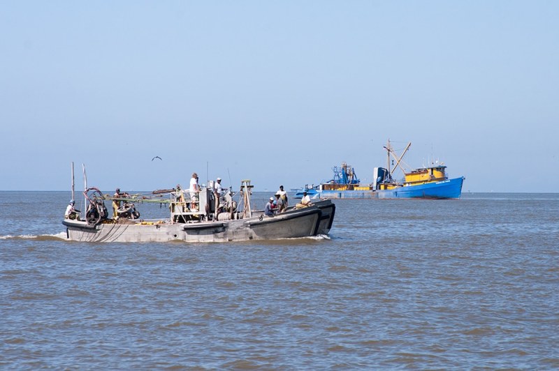 menhaden-netters.jpg