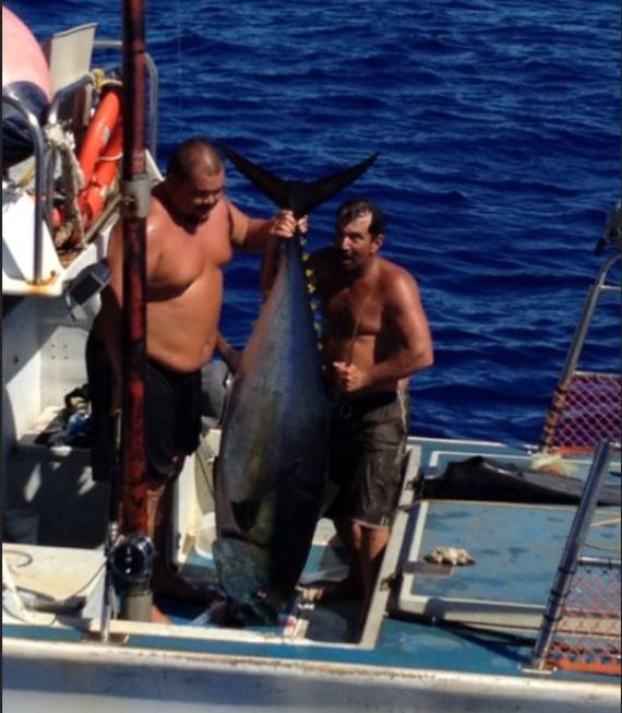 tuna tuna