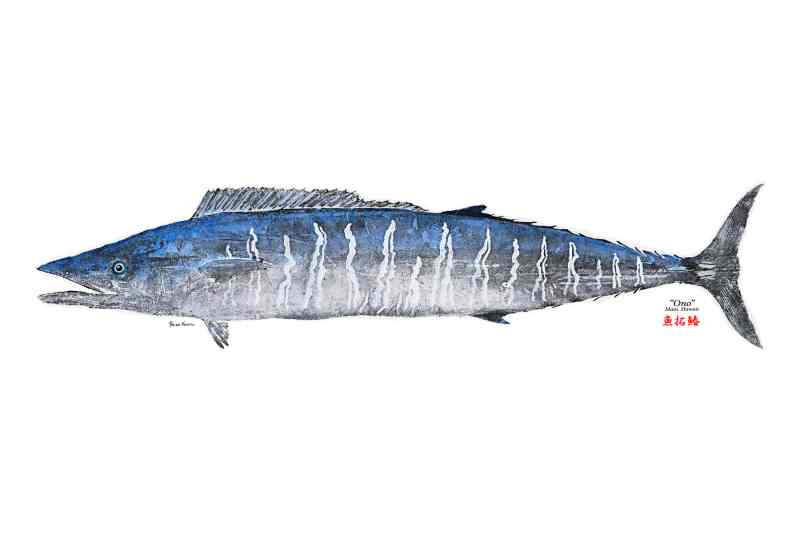 Gyotaku fish print of a wahoo