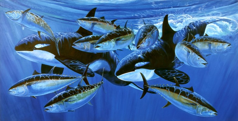 Guy Harvey painting orca blues
