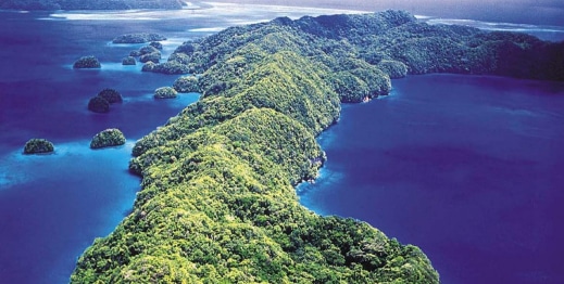 mp palau mp palau