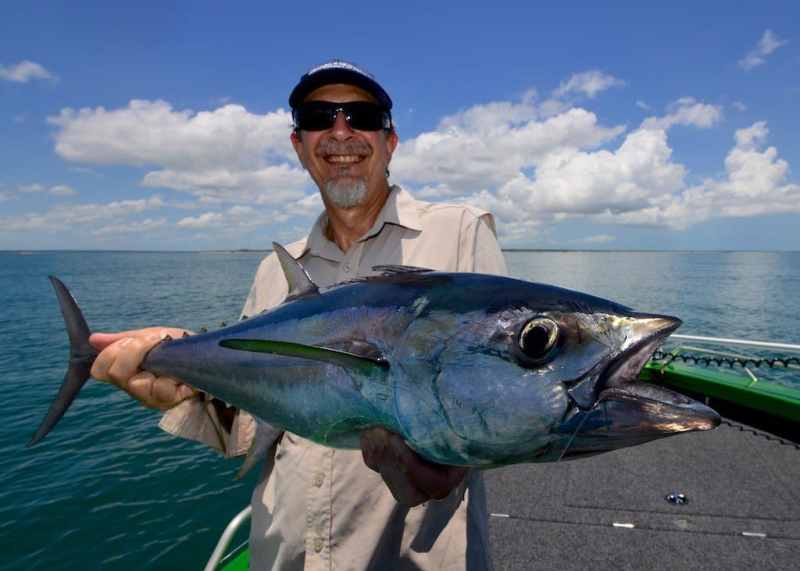 Longtail tuna, Australia