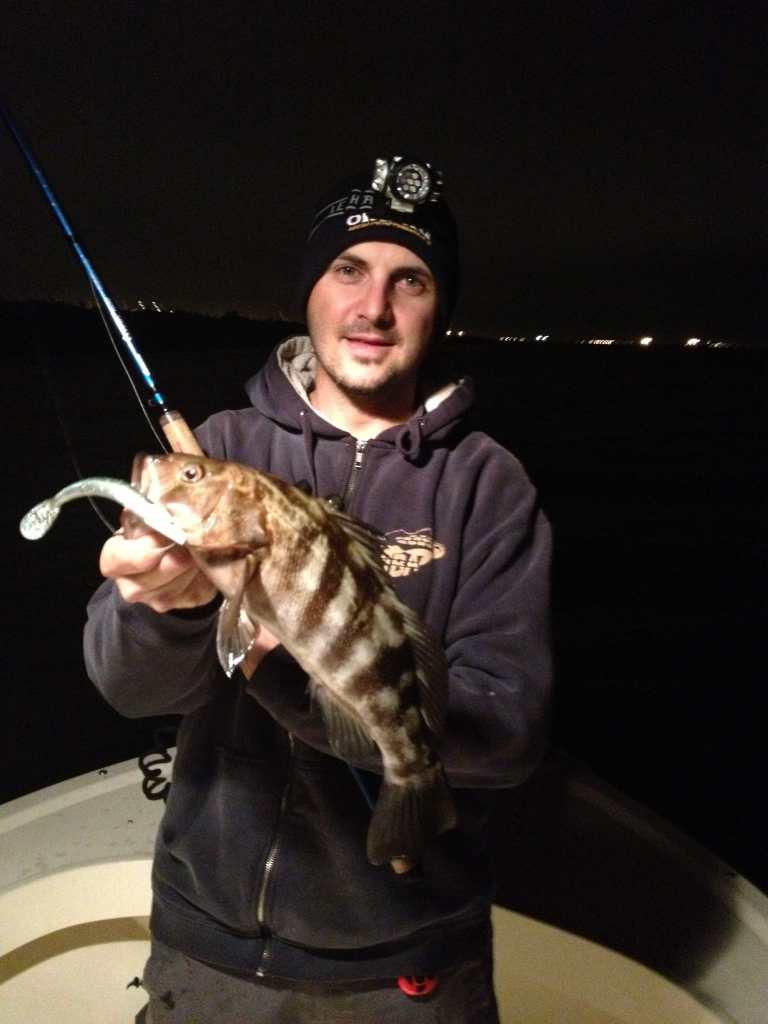 Hybrid Saltwater Bass? Hybrid Saltwater Bass?