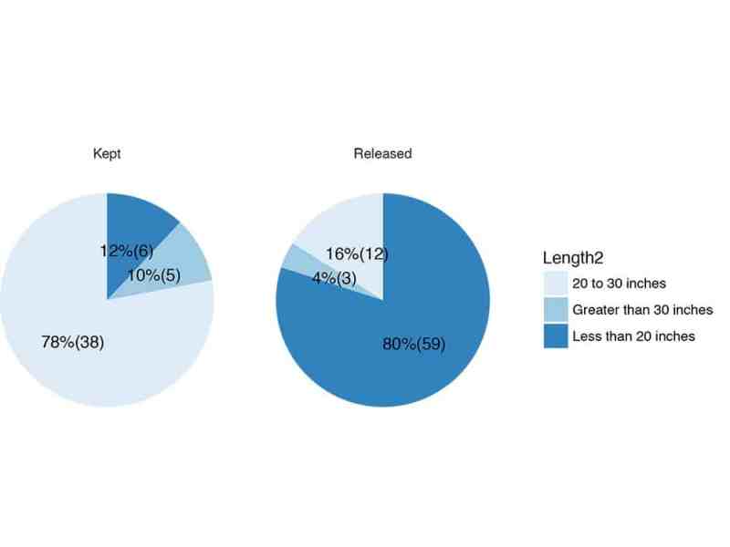 myfishcount pie chart length
