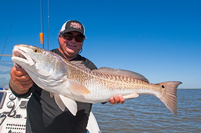 Louisiana’s Famous Redfish redfish-holdup-main.jpg