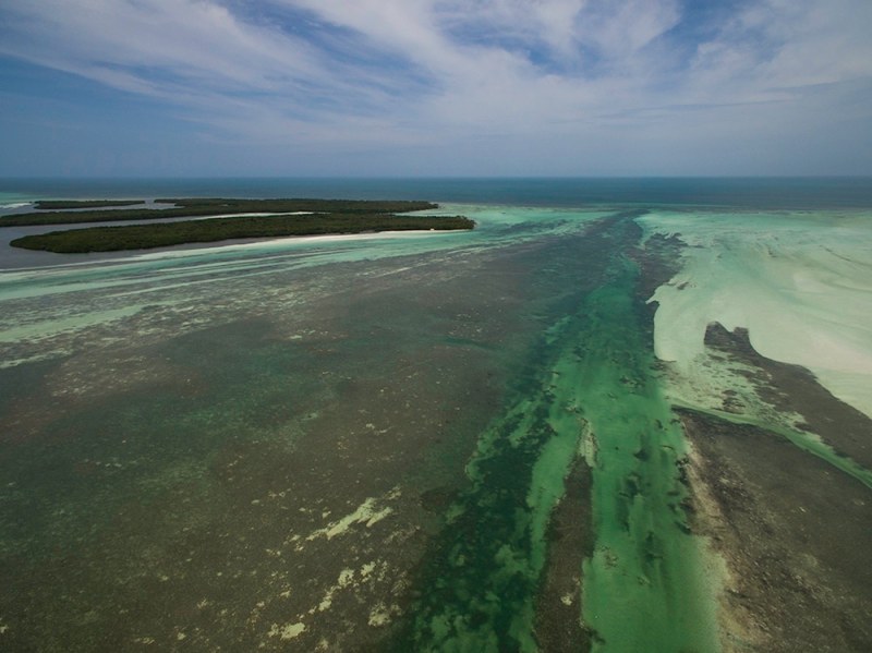 Drones and fishing -- drones show the lay of the land (and water)