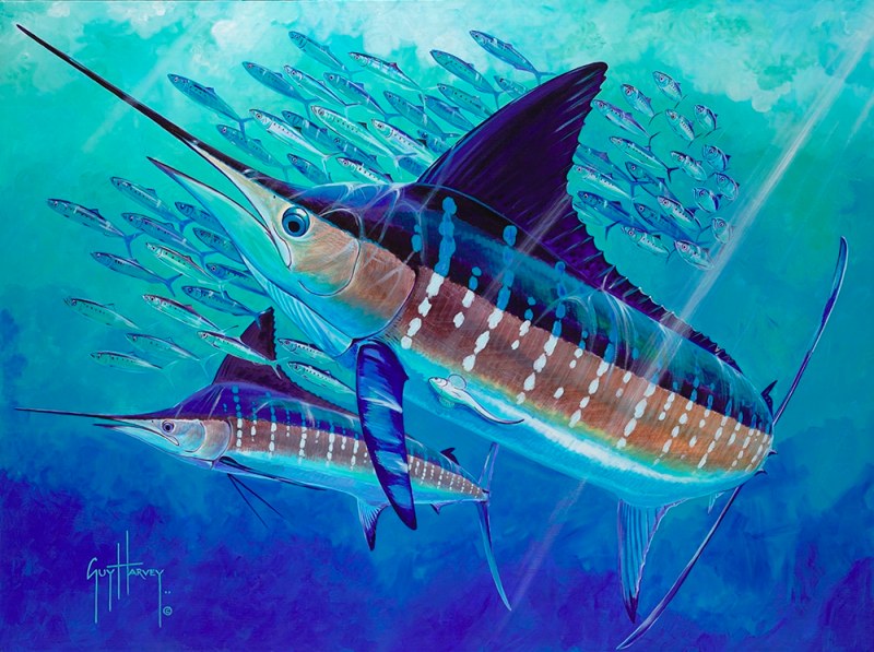 Guy Harvey painting schools out