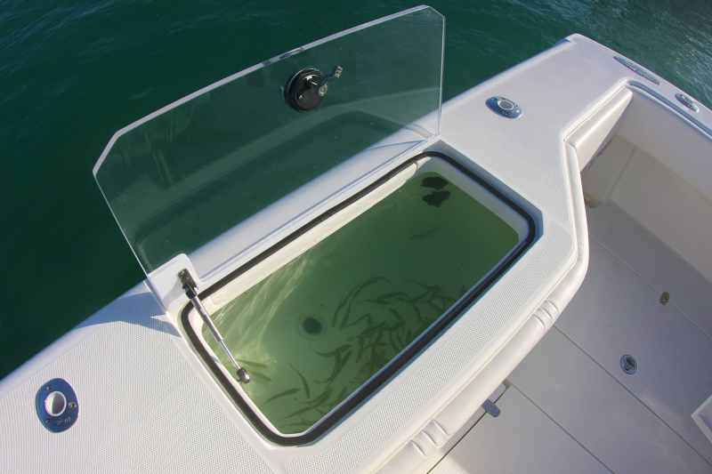 SeaVee 390 Livewell