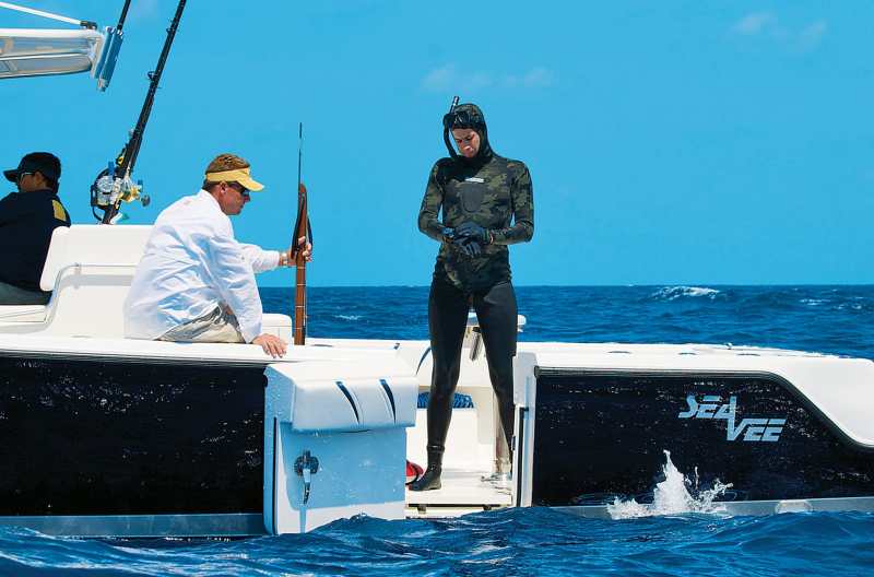 SeaVee dive door