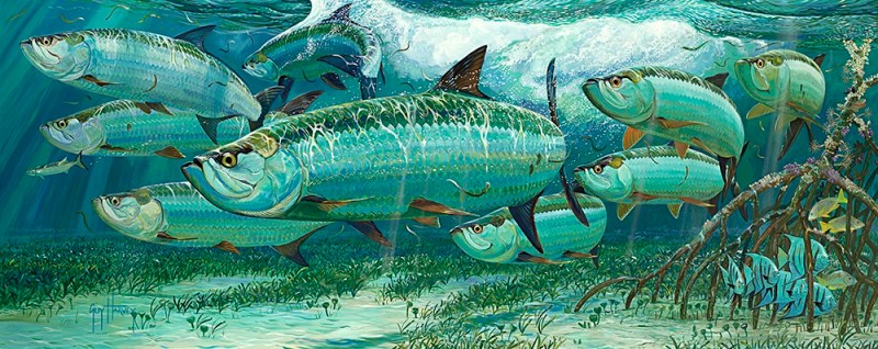Guy Harvey painting silver kings