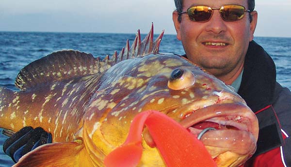 Trolling soft plastics Trolling soft plastics