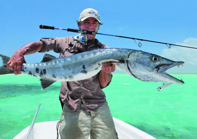 Huge barracuda on a stickbait