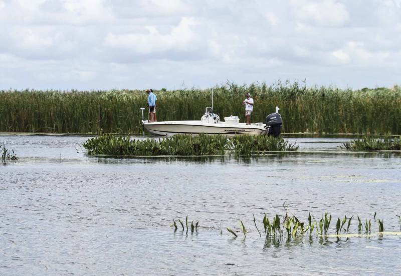 Fishing Success in Windy Weather