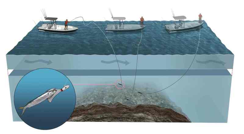 Drift-Fish Reefs Using Ballyhoo on Bucktail Jigs