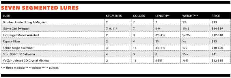 What You Need to Know About Segmented Hard Baits