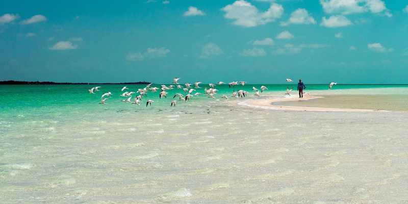 World's Greatest Flats-Fishing Destinations