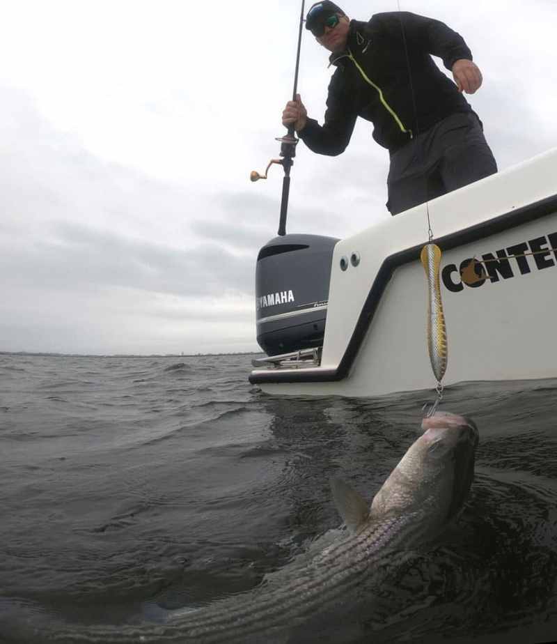 How to Catch Striped Bass