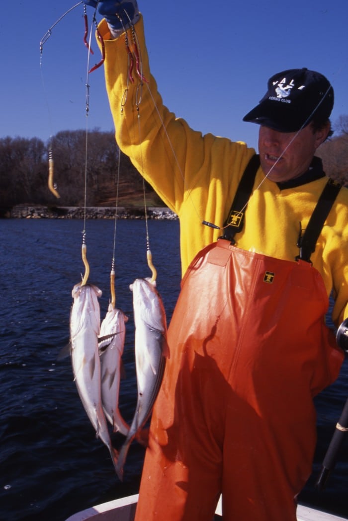 Best Rigs for Striped Bass Sport Fishing Mag