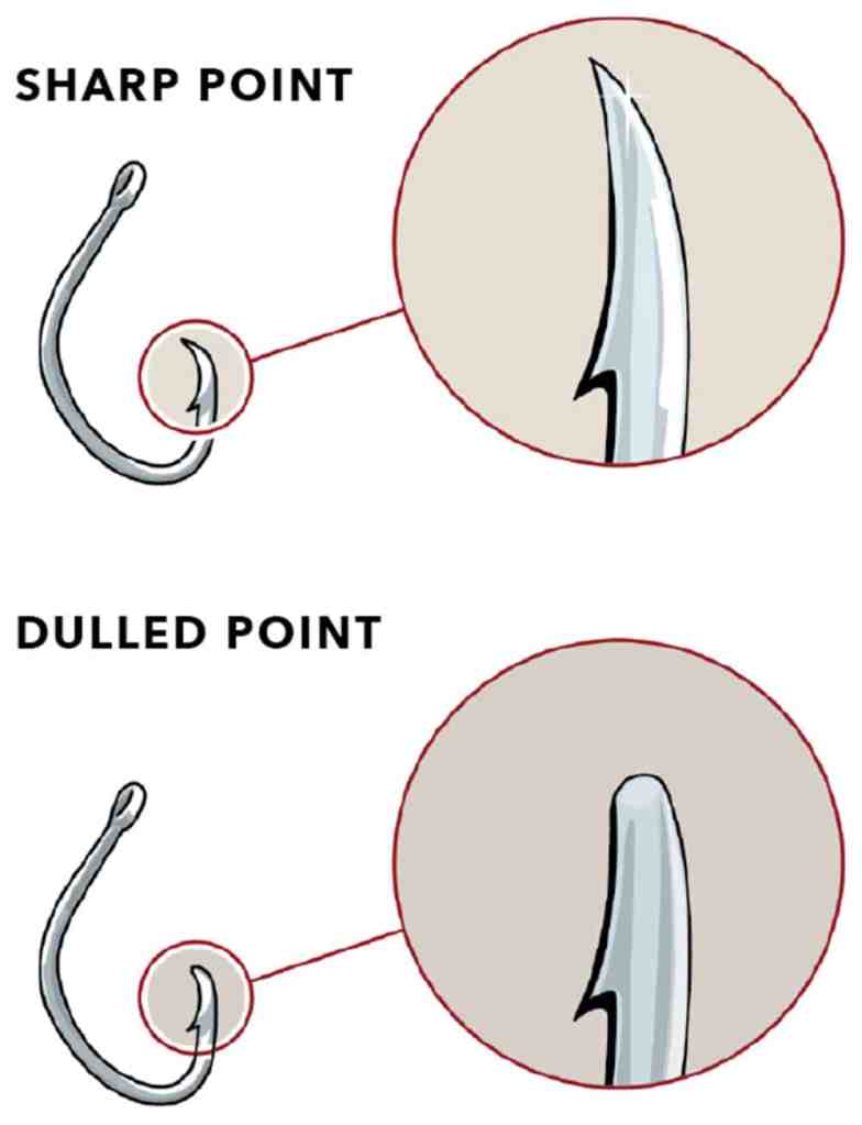 Wildly unconventional fishing secrets