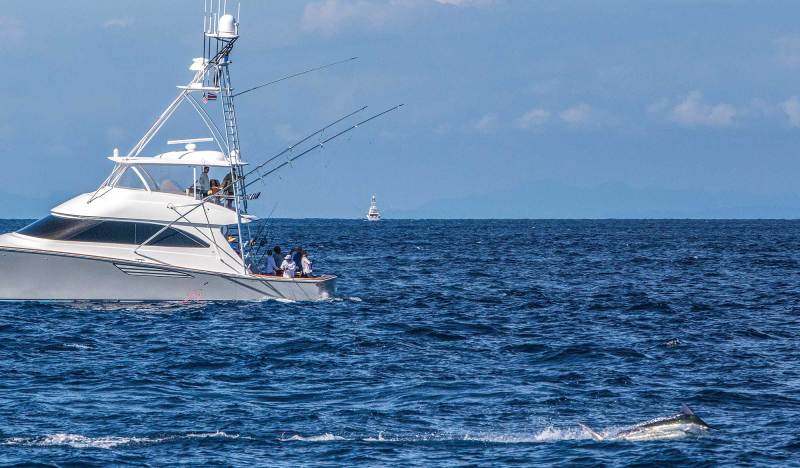 Surprising wins and wrenching losses in the world of tournament fishing Tournament Fishing Tales of Wins and Losses
