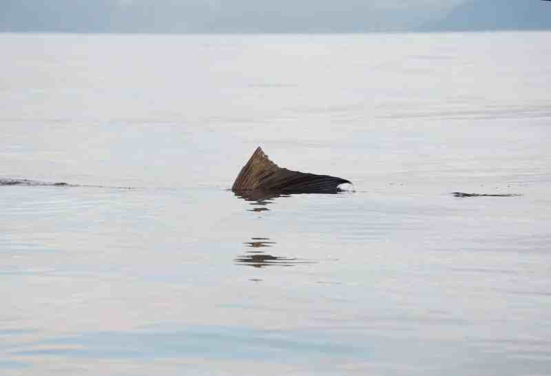 Fishing the Lonely Pacific Coast of Colombia