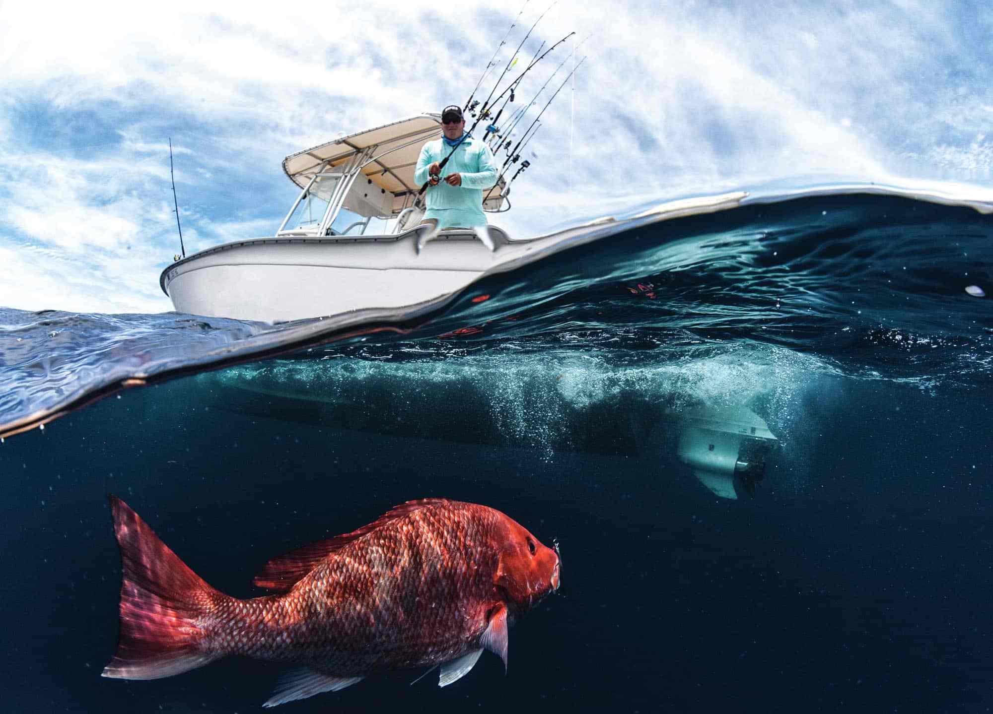 Red Snapper Jump How to Catch Red Snapper | Sport Fishing Mag