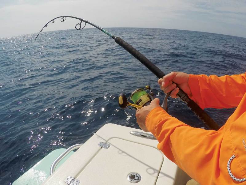 Which Reel-Handle Design is Best for You?