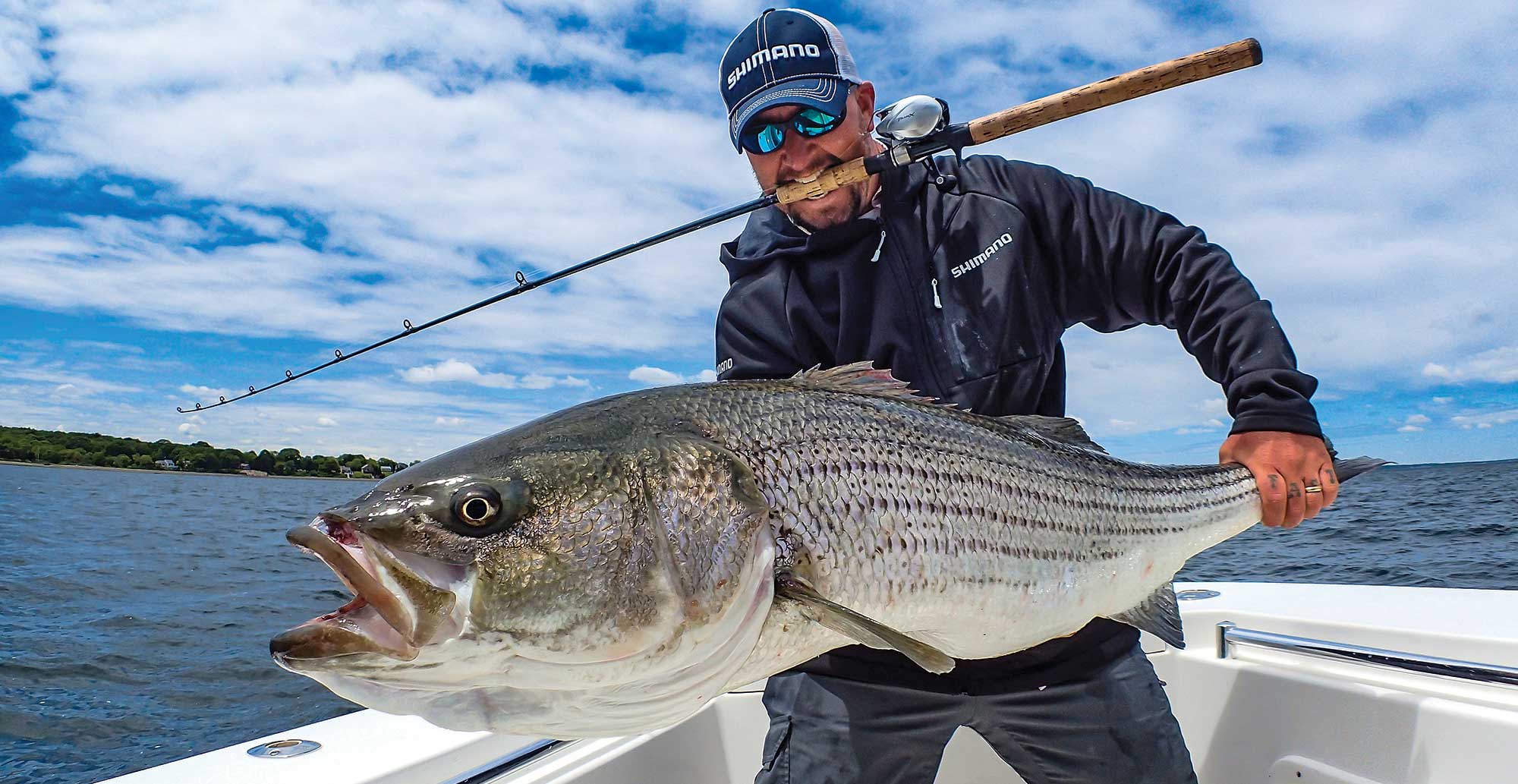 Best Lures for Striped Bass Sport Fishing Mag
