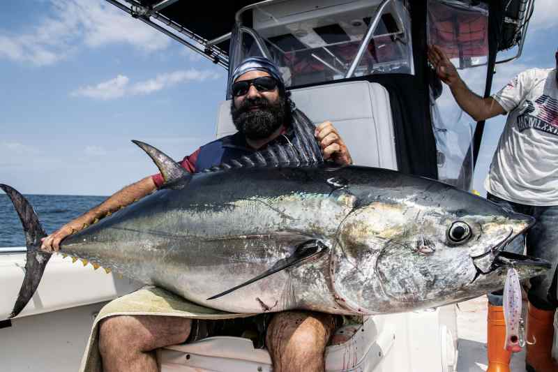 Large bluefin tuna onboard a fishing boat