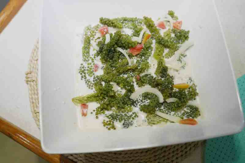 Seaweed salad