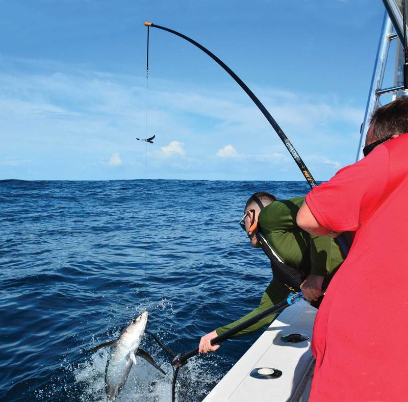 sing jack pole for fishing albacore
