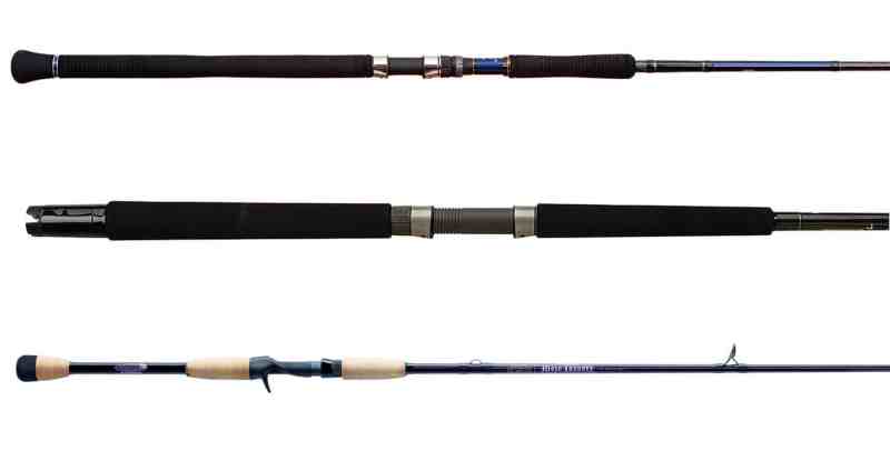 Understanding Fishing Rod Butt Designs and Materials