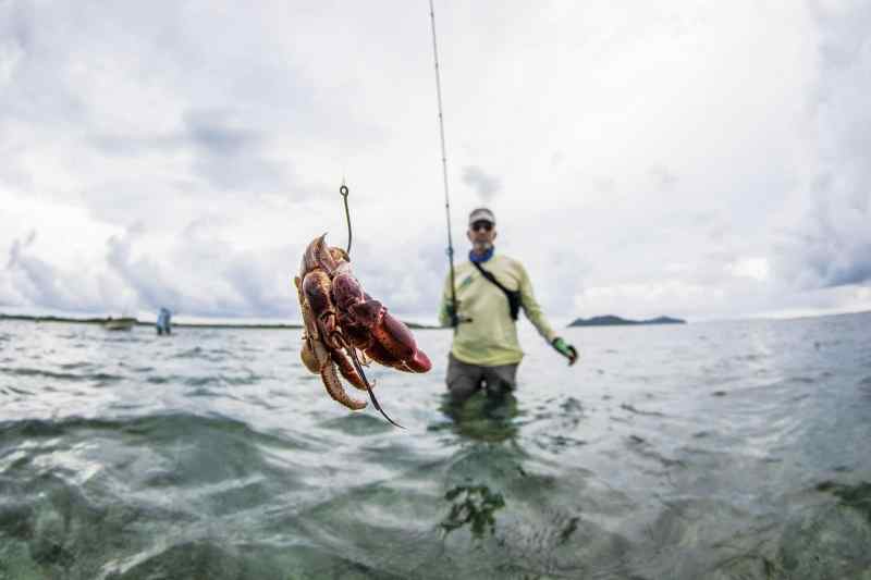 Discover Roatan Island's Flats Fishing