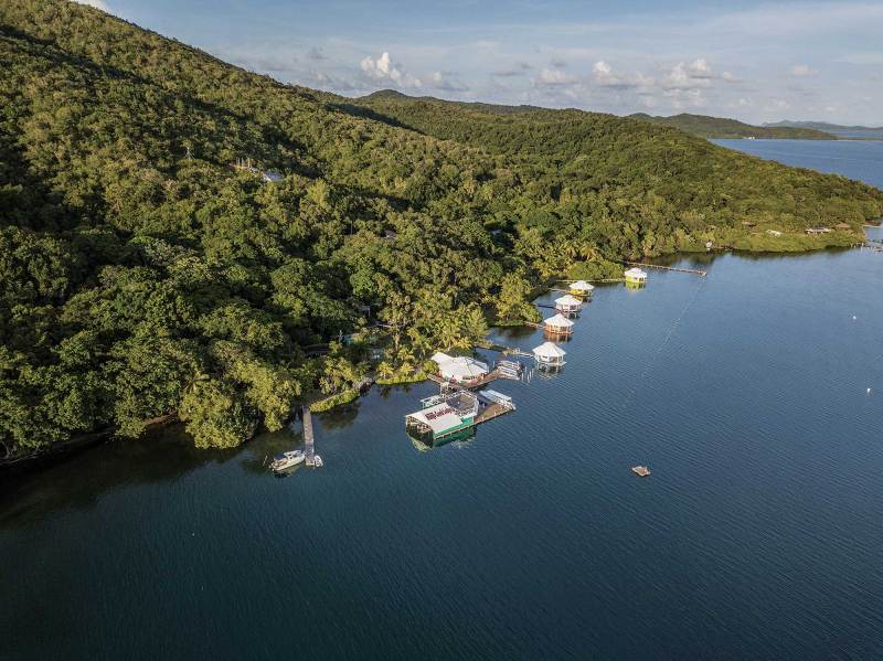 Discover Roatan Island's Flats Fishing