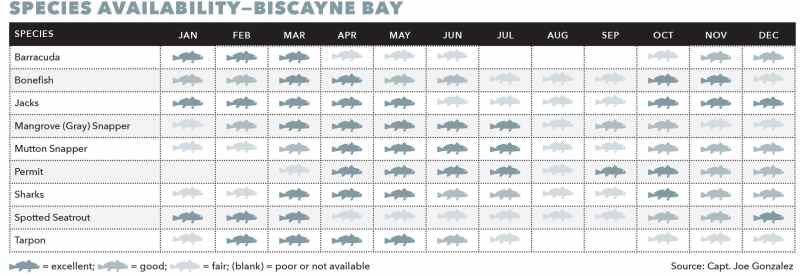 Species chart for Biscayne Bay