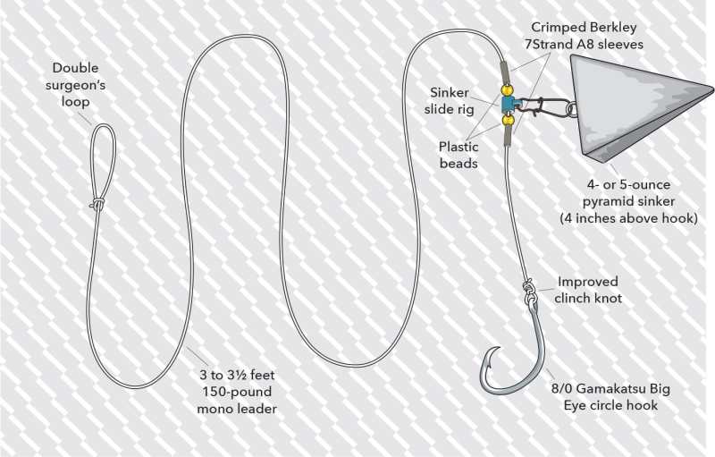 Redfish rig