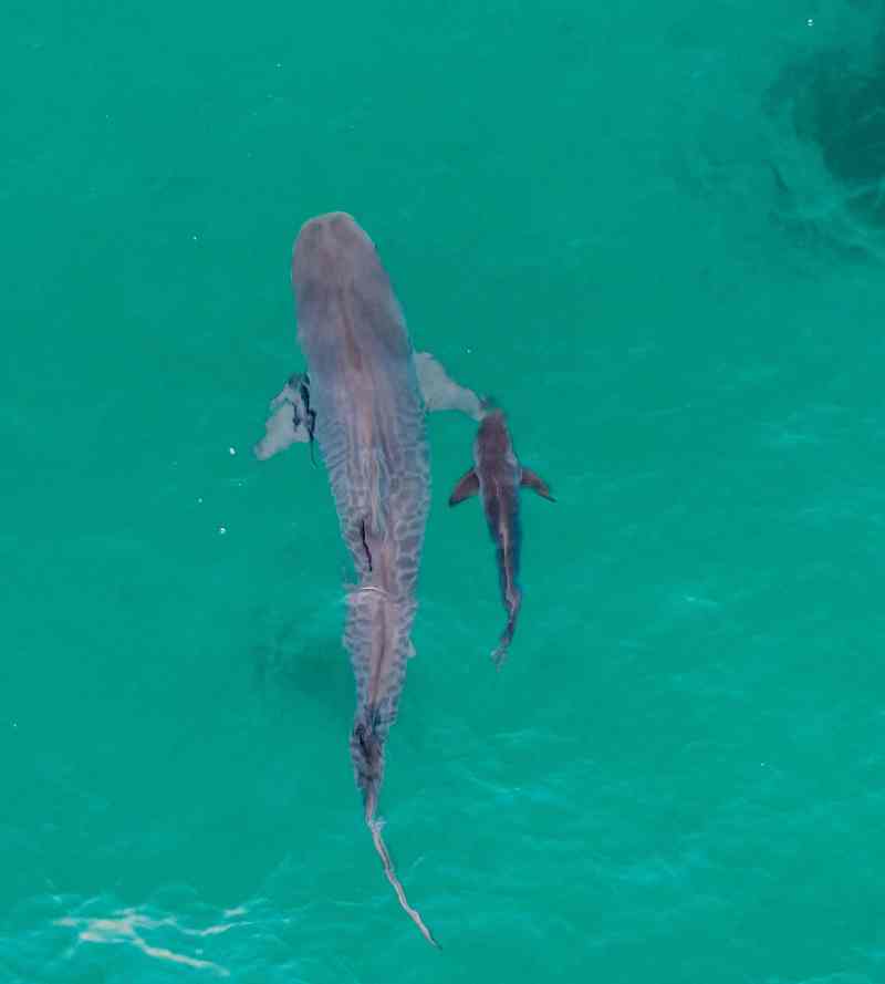 Extraordinary Photos from Sport Fishing's "Last Cast" Pages, 2018