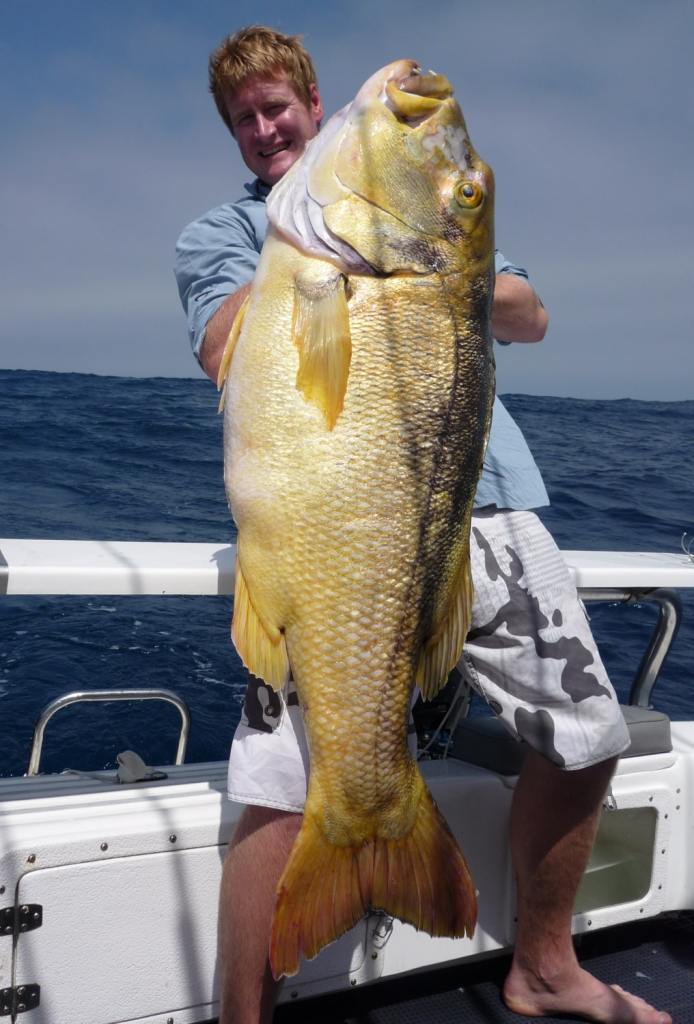 toughest game fish inshore - red steenbras