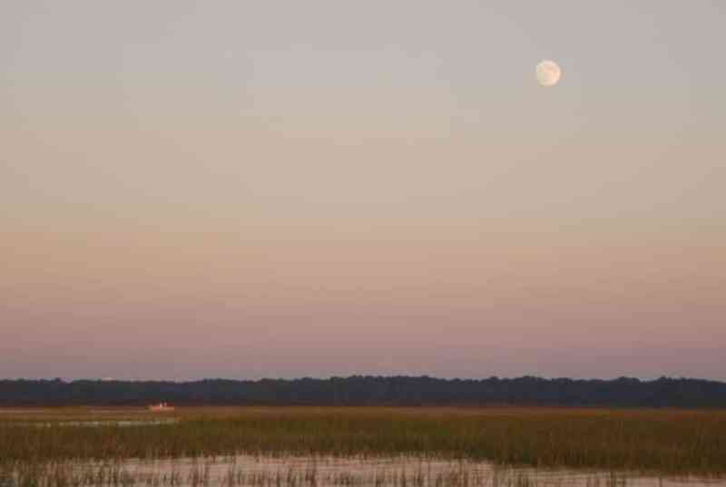 tailing redfish_12.jpg