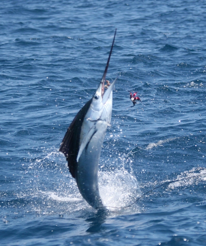 texas superslam_17.jpg